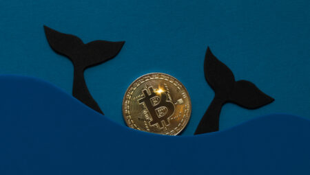 Balinalar Yönünü Çevirdi, Bitcoin Hyper’da Çılgınlık: 30 Milyon Dolara Dayandı!